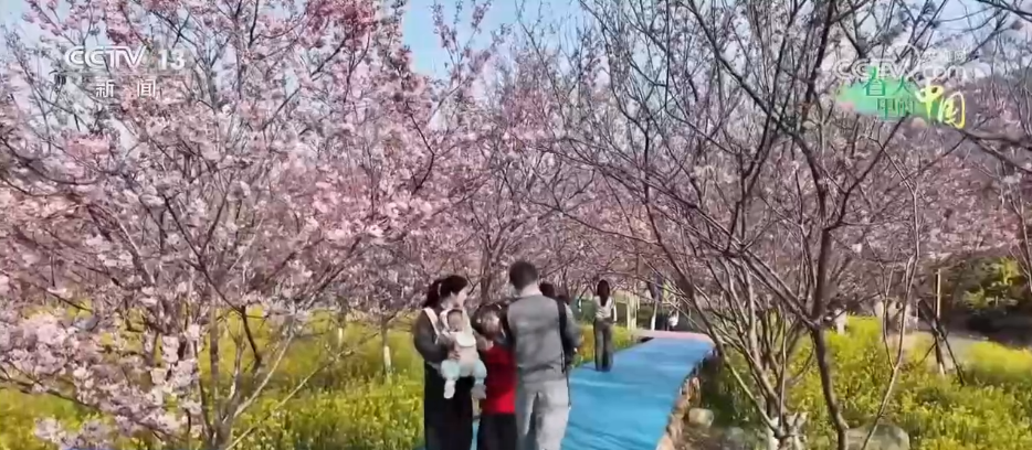 去踏青、共赏花,春意正浓!““春日经济”蓬勃绽放