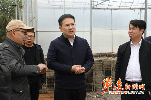 林亮亮调研春耕生产和农业产业工作_副本500.jpg 林亮亮调研春耕生产和农业产业工作_副本500.jpg