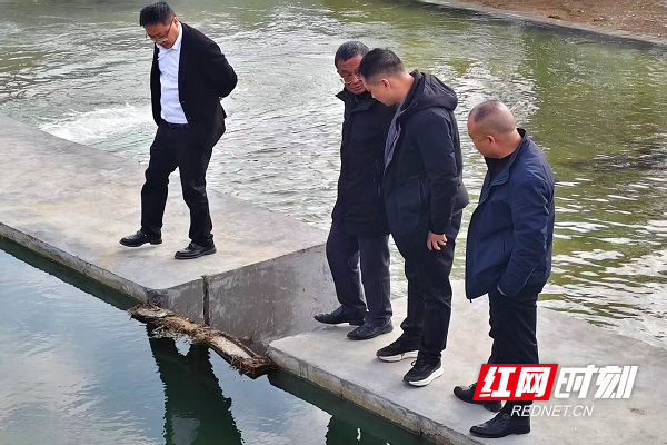 组织部分县、镇人大代表到项目现场看质量、查进度、听反响.jpg 组织部分县、镇人大代表到项目现场看质量、查进度、听反响.jpg