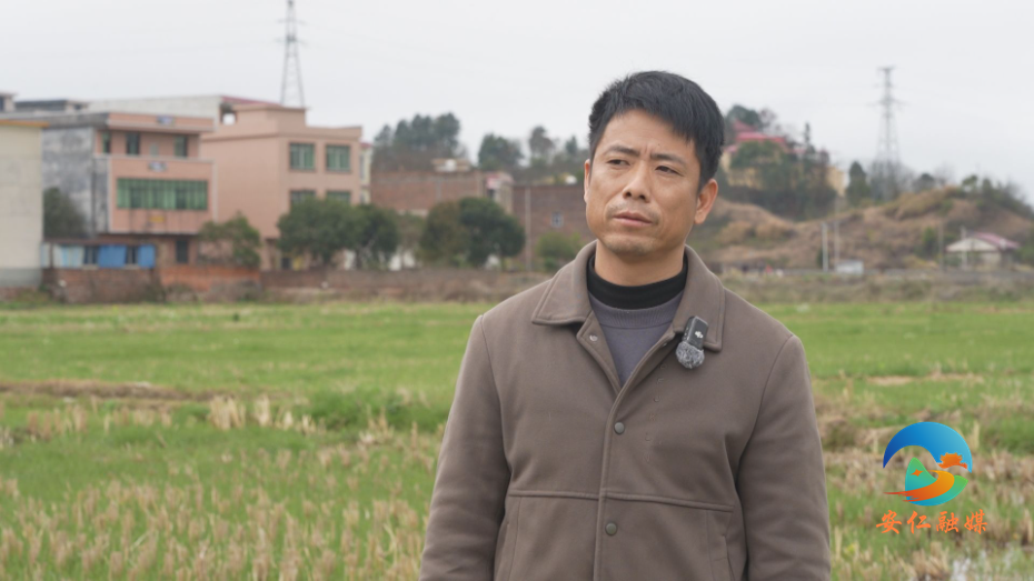 何波亮.jpg 何波亮.jpg