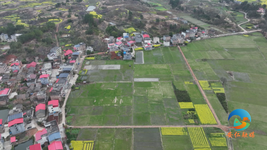 Still0303_00005.jpg Still0303_00005.jpg