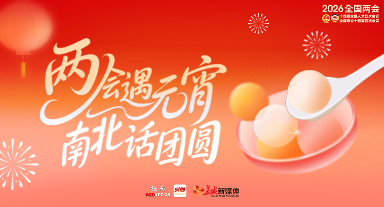 专题丨两会遇元宵 南北话团圆