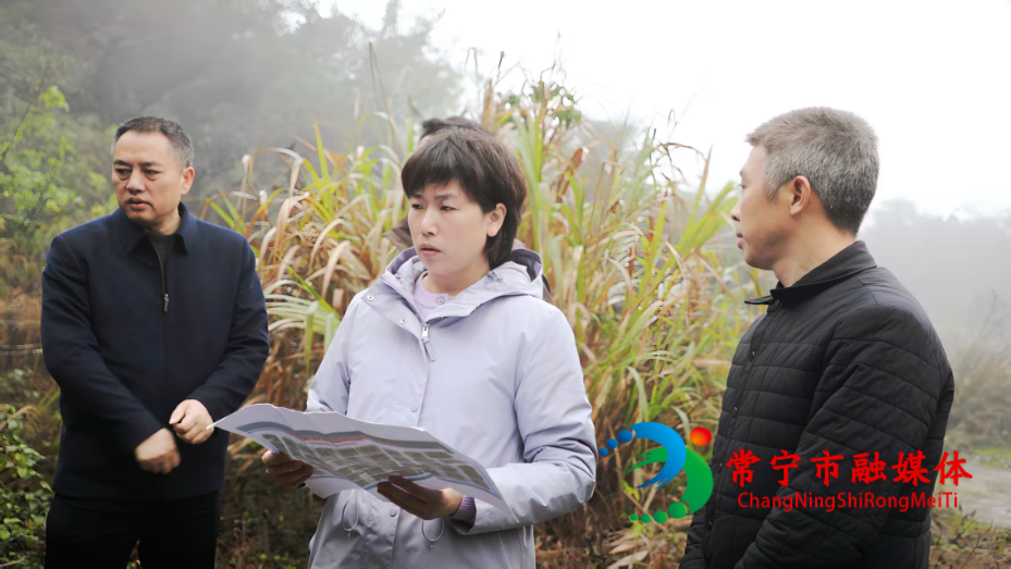 市长1.jpg 市长1.jpg