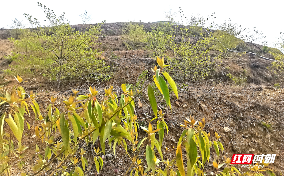 d0405238d61bd3f3711c8a6bbe0c1342.jpg d0405238d61bd3f3711c8a6bbe0c1342.jpg