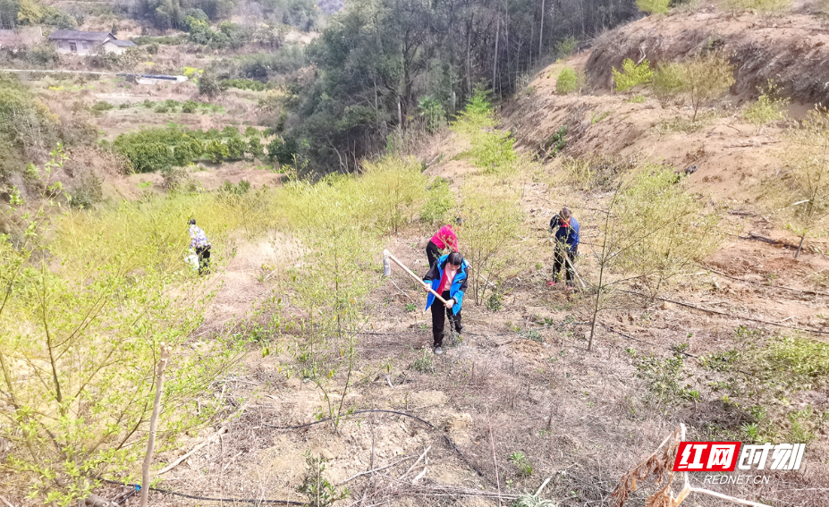 bc2f6190eae3b7089c543822998f1be8.jpg bc2f6190eae3b7089c543822998f1be8.jpg