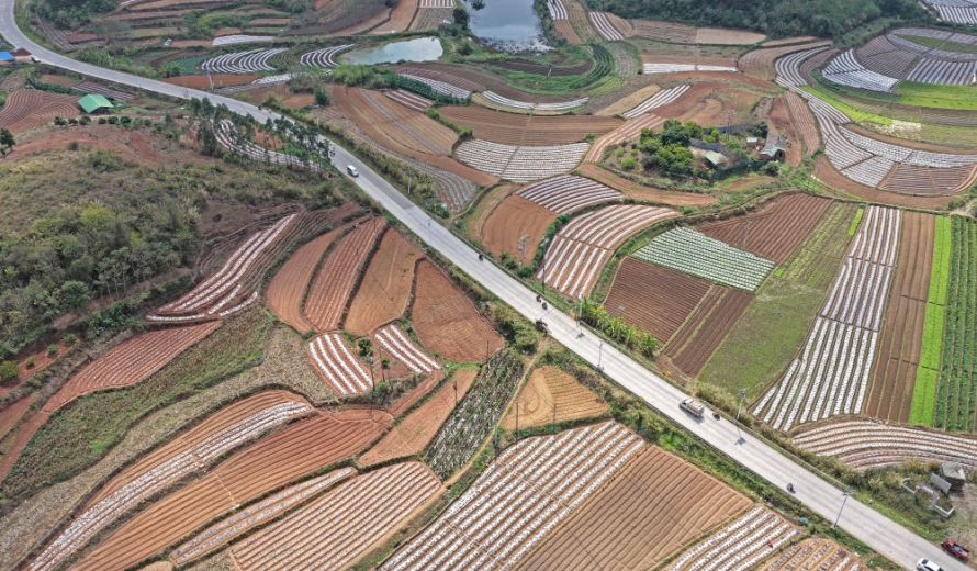 大地惊蛰！奏响春天的奋进序曲