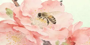 惊蛰：春雷始鸣 万物生长