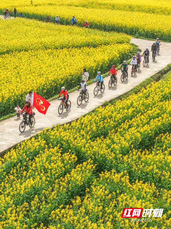2026年3月5日，在湖南省永州市道县祥霖铺镇两河口村，骑行爱好者在油菜花田间骑行。 (9).jpg