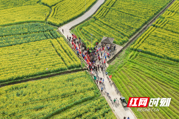 2026年3月5日，在湖南省永州市道县祥霖铺镇两河口村，游客在油菜花田间游玩赏花。 (1).jpg