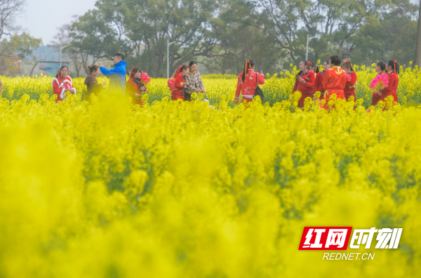 2026年3月5日，在湖南省永州市道县祥霖铺镇两河口村，游客在油菜花田间游玩赏花。 (8).jpg
