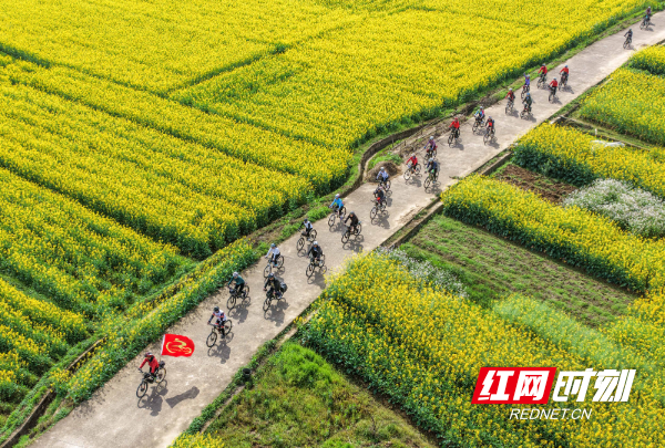 2026年3月5日，在湖南省永州市道县祥霖铺镇两河口村，骑行爱好者在油菜花田间骑行。 (7).jpg