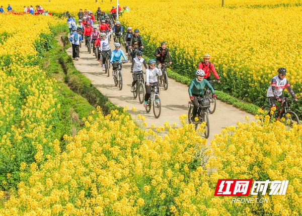 2026年3月5日，在湖南省永州市道县祥霖铺镇两河口村，骑行爱好者在油菜花田间骑行。 (2).jpg