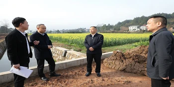 郑湘调研督导群众身边不正之风和腐败问题集中整治工作