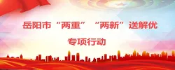 岳阳市“两重”“两新”送解优专项行动