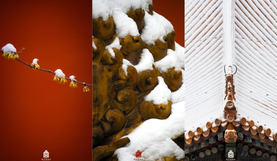 中式美学！故宫遇上春雪的氛围感