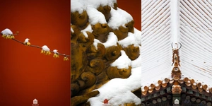 中式美学！故宫遇上春雪的氛围感