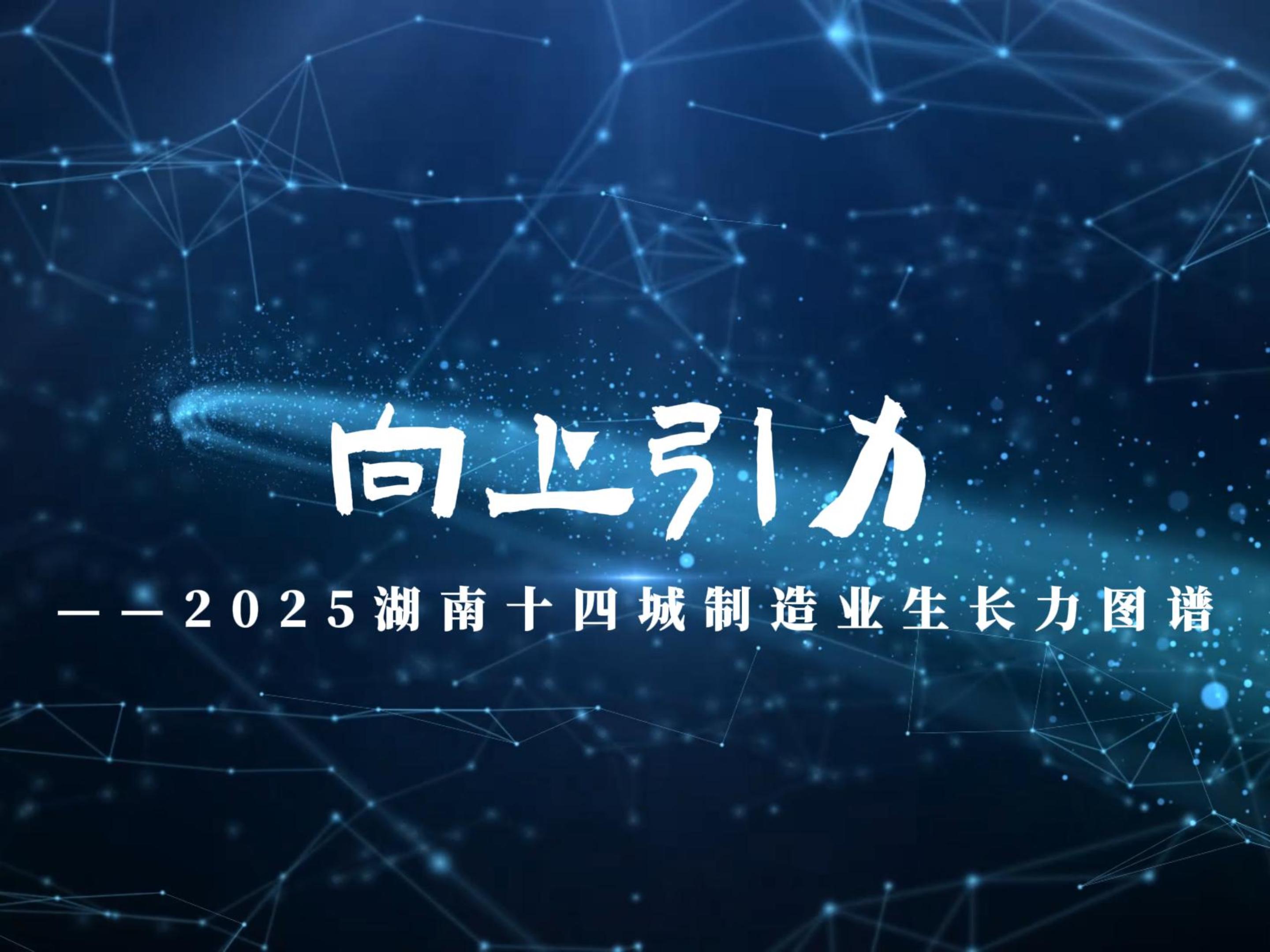 2025湖南十四城制造业生长力图谱