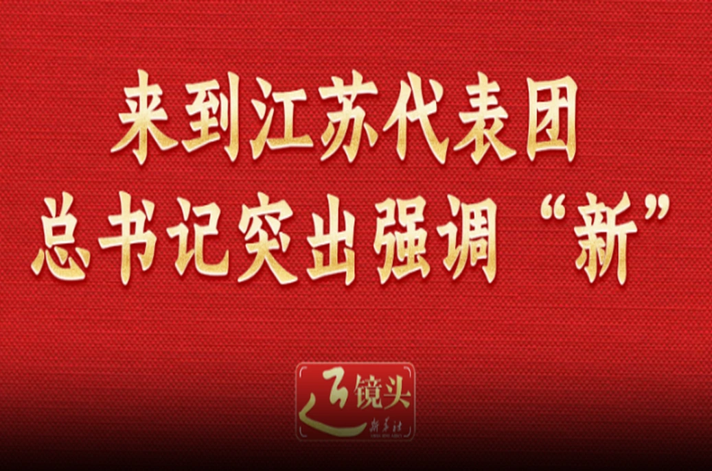 两会近镜头｜来到江苏代表团，总书记突出强调“新”