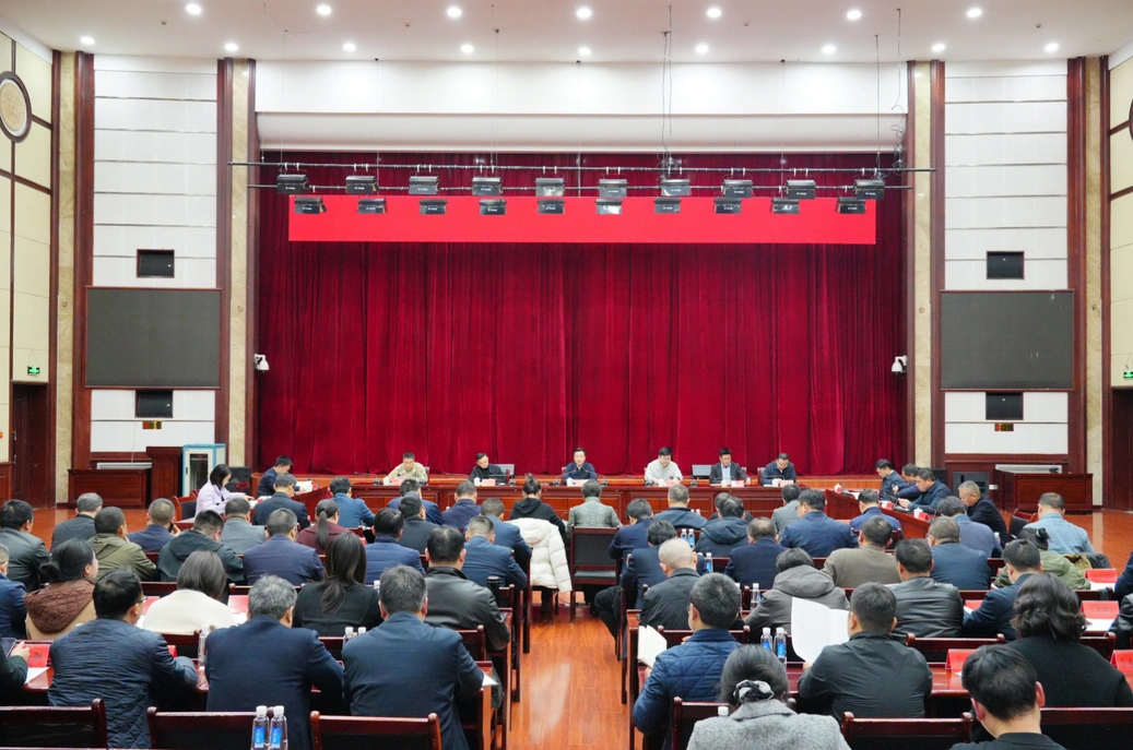 唐成主持召开区委党的建设工作领导小组会议