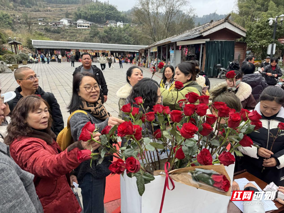 图片8.jpg 图片8.jpg