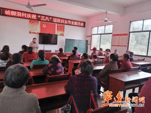 宁远多部门开展“三八”国际妇女节庆祝活动5_副本500.jpg