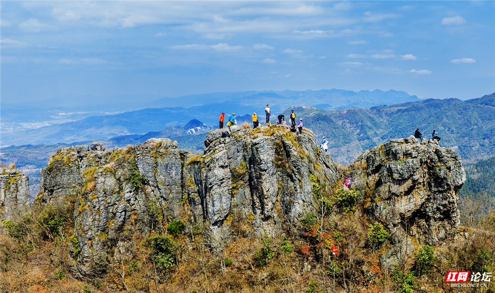 在怀化泸阳国有林场，听草木萌发的声音