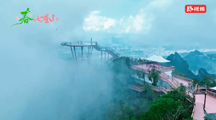 视频 | 春上七星山②：天空之眼 俯瞰春澜