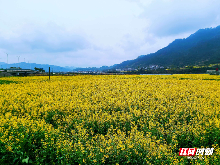 微信图片_20260309134336_1765_214.jpg 微信图片_20260309134336_1765_214.jpg