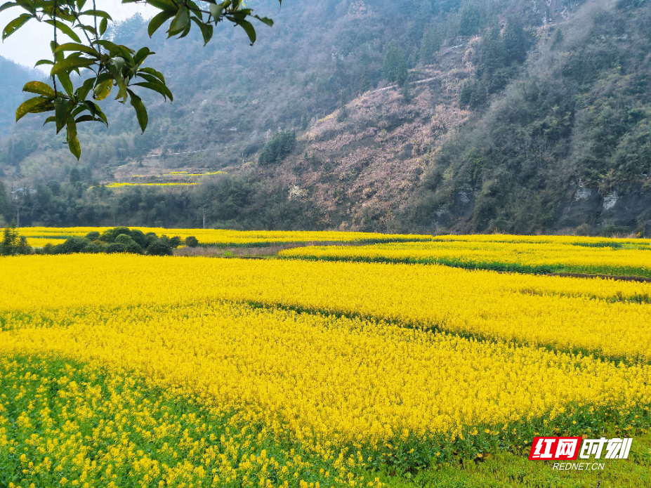 微信图片_20260309134336_1766_214.jpg 微信图片_20260309134336_1766_214.jpg