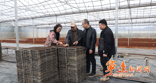 宁远：抢抓农时育早稻 科技赋能备春耕2_副本500.png