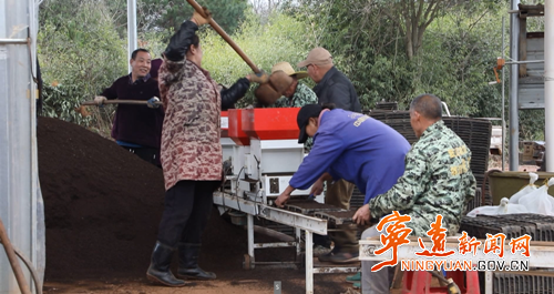 宁远：抢抓农时育早稻 科技赋能备春耕_副本500.png