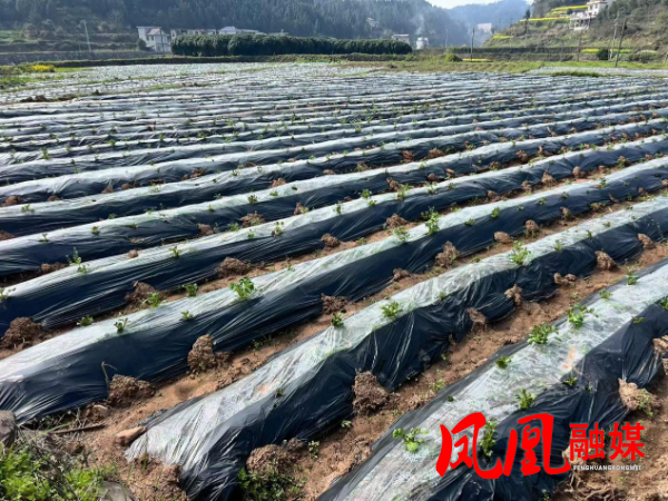 图片5.png 图片5.png