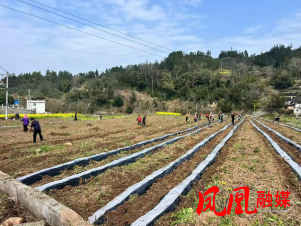 图片6.png 图片6.png