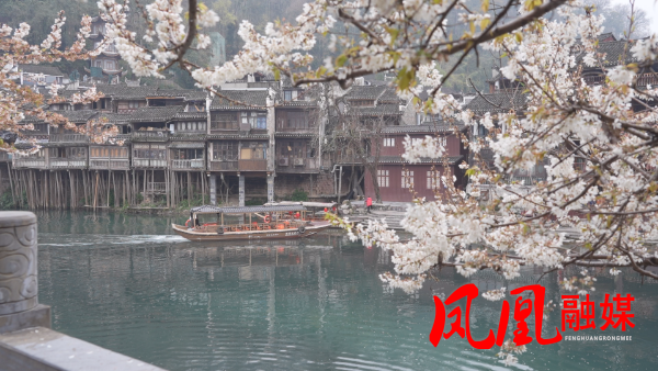 Still0310_00009.bmp Still0310_00009.bmp