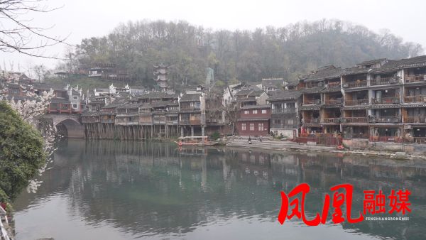 Still0310_00008.bmp Still0310_00008.bmp