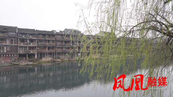 Still0310_00007.bmp Still0310_00007.bmp