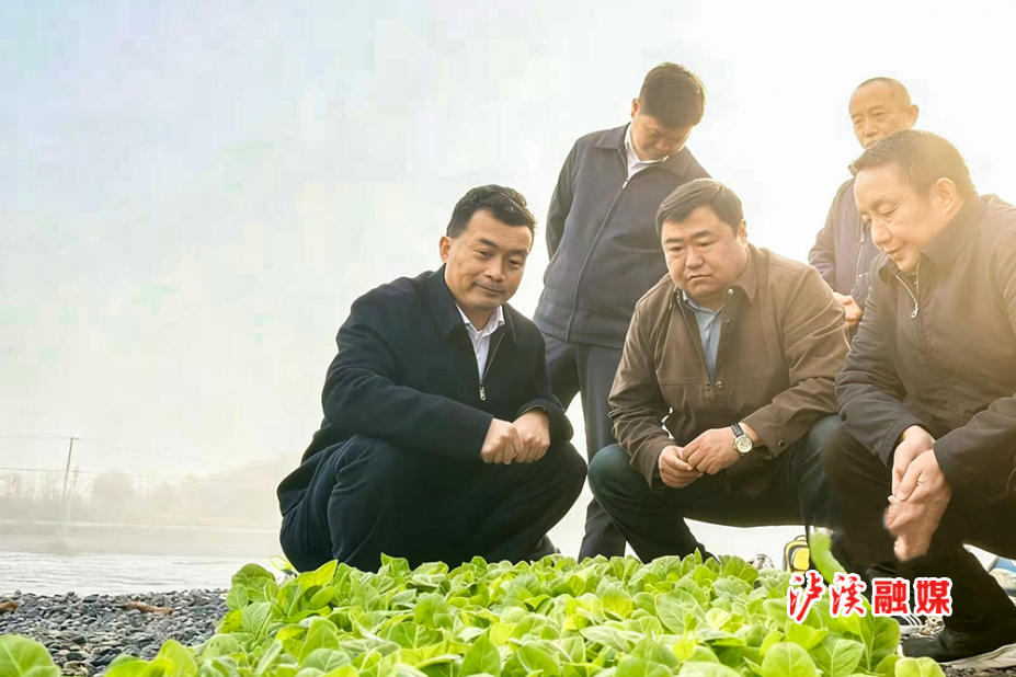 微信图片_20260311164108_1326_27.jpg 微信图片_20260311164108_1326_27.jpg