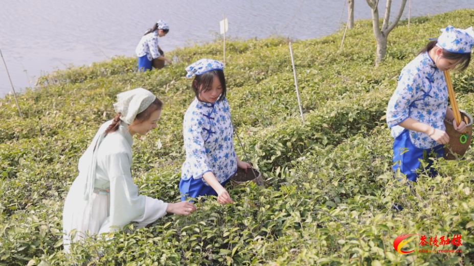 5oxKa0Iu1O0A.bmp 5oxKa0Iu1O0A.bmp