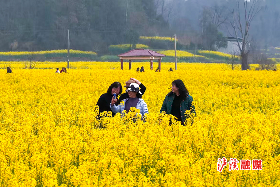 青草村活动.mp4_20260310_231728.859.jpg 青草村活动.mp4_20260310_231728.859.jpg