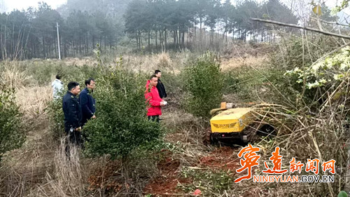 宁远县冷水镇：“清障先锋”上岗  筑牢森林防火“安全墙”_副本500.jpg