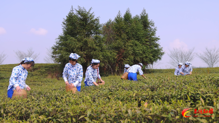 jsDcb25X9FUA.bmp jsDcb25X9FUA.bmp