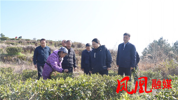 Still0312_00016.jpg Still0312_00016.jpg