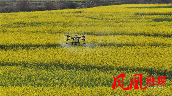 Still0312_00052.jpg Still0312_00052.jpg