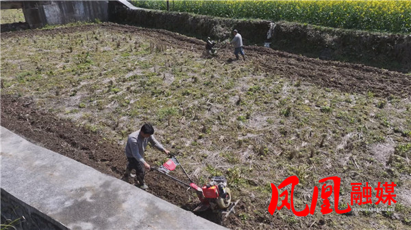 Still0312_00046.jpg Still0312_00046.jpg