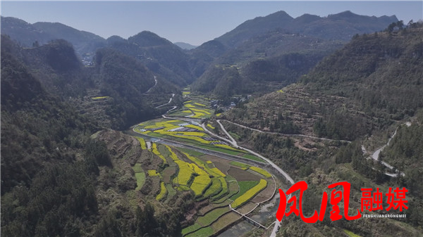 Still0312_00045.jpg Still0312_00045.jpg