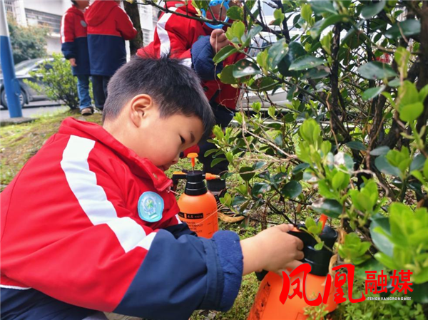 图片3.png 图片3.png