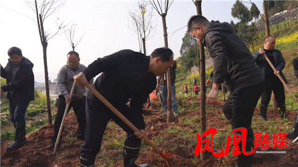 Still0312_00088.jpg Still0312_00088.jpg