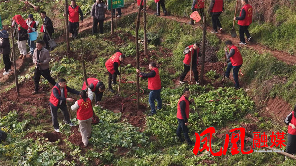 Still0312_00106_副本.jpg Still0312_00106_副本.jpg