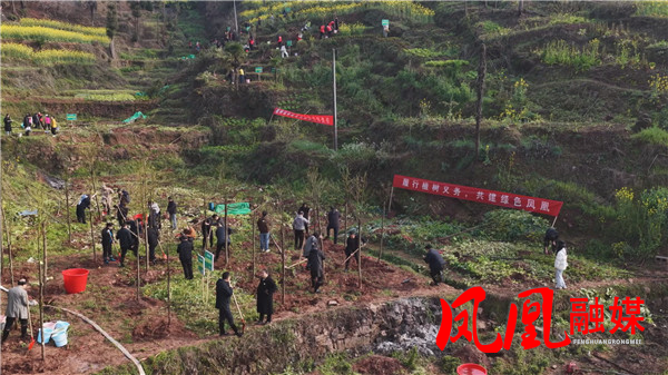 Still0312_00108.jpg Still0312_00108.jpg