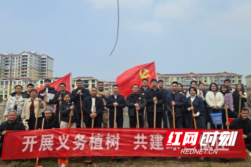 植树3.jpg